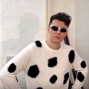 Meet your Posher, Diddly daniel howell